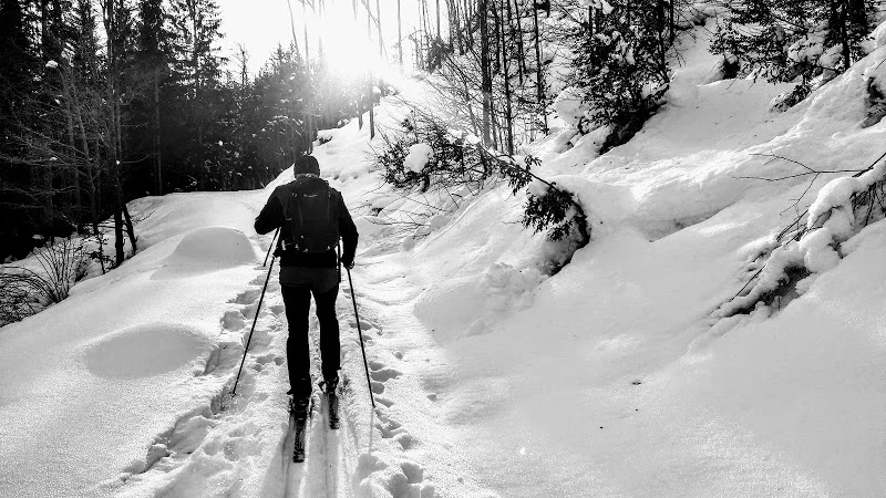 Fotografija: Na poti od Kupljenika do Selške planine. FOTO: Miroslav Cvjetičanin