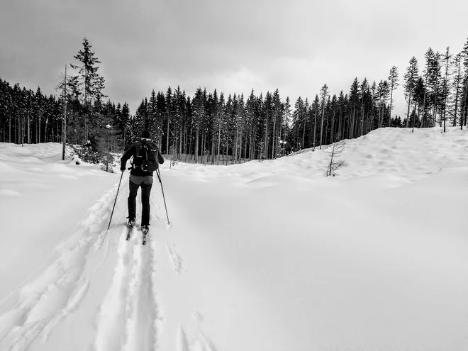 Jelovica je zakrasela gozdnata planota, ki se kot alpsko predgorje razteza nad Savo Bohinjko (na severozahodu), nad naseljema Kropa in Kamna Gorica (na vzhodu) in na jugu do Selške Sore. FOTO: Miroslav Cvjetičanin