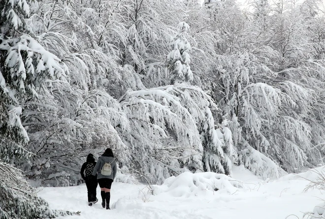 Priljubljeni naravni rezervat, planoto Hautes Fagnes z najvišjo točko Belgije, so med prazniki po veliki gneči in dolgih kolonah na tamkajšnjih cestah za tri dni zaprli za obiskovalce. FOTO: Yves Herman/Reuters