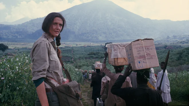 Dian Fossey: Skrivnosti v megli: Gorilje dekle Foto Nat. Geo.