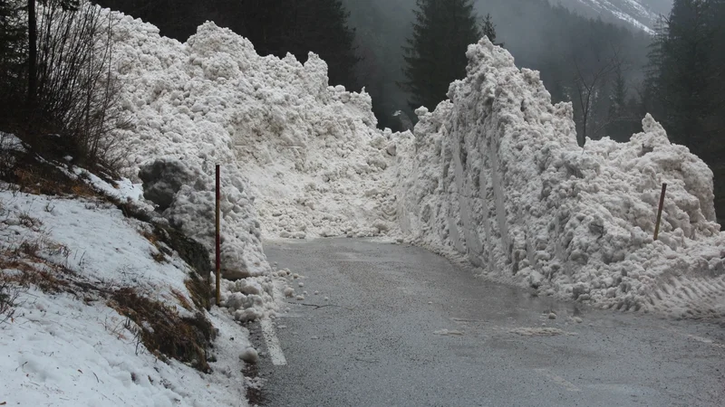 FOTO: PU Nova Gorica