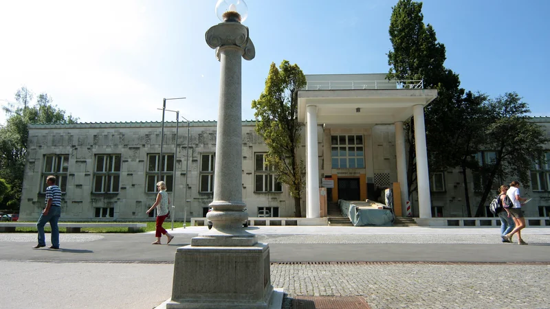 Fotografija: Tudi na zunanjem ministrstvu so zapisali, da se glede razstave Moderne galerije strinjajo z veleposlanikom, da »ne more biti del kulturno-promocijskega programa obeleževanja okrogle obletnice državnosti ali programa slovenskega predsedovanja Svetu EU«.
FOTO: Roman Šipić/Delo