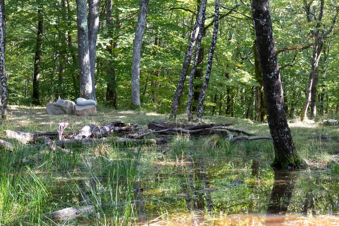 Mitološka točka Jezero: pod gladino vode je na dnu utrditev iz apnenčastih blokov, kar kaže na neka umetna utrjevanja. Foto Jana Rajh Plohl