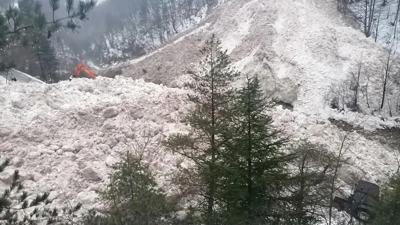 Fotografija: V bovški občini se je v minulih dneh sprožilo več snežnih plazov, kakršnih domačini po besedah župana Valterja Mlekuža ne pomnijo zadnjih petdeset let. FOTO: Danijel Mrak