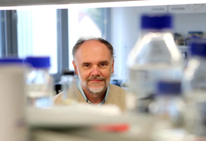 Prof. dr. Roman Jerala: &raquo;Ne moremo niti zagotovo potrditi niti izključiti, da bi ta sev povečal smrtnost.&laquo; FOTO: Dejan Javornik/Delo
