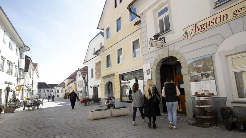 Fotografija: Približno vem, kaj bi gorenjska regijska bolnišnica prinesla v Radovljico, ki nam je ponudila vrhunsko bivalno okolje, odlične šole, nabor vseh mogočih športov, dobro športno infrastrukturo, gledališče in kino ter z zgodovino bogato mestno jedro. Foto Mavric Pivk