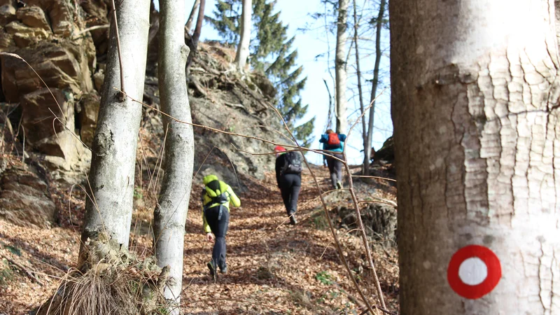 Fotografija: Na Cerkljanskem je na voljo veliko zanimivih pohodniških in sprehajalnih poti. FOTO: Blaž Močnik