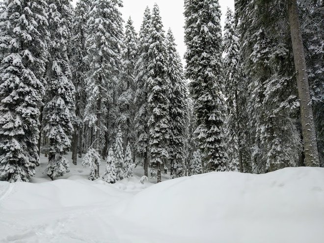 Rudno polje počiva pod debelo snežno odejo. FOTO: Miroslav Cvjetičanin