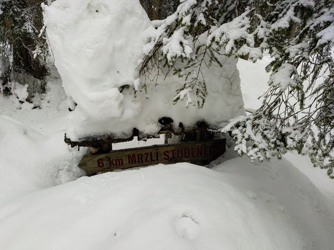 Smerokazi so dobro skriti v snegu. FOTO: Miroslav Cvjetičanin