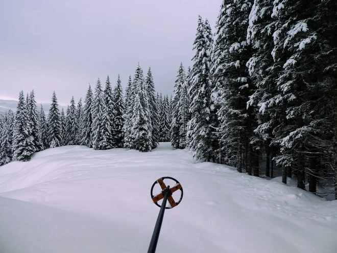 Smer od Rudnega polja proti Zajavorniku.&nbsp;FOTO: Miroslav Cvjetičanin