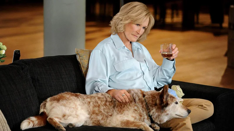 Fotografija: V bogati karieri se ji je zlati kipec vedno izmuznil, vendar Glenn Close še ni rekla zadnje besede. FOTO: Promocijsko gradivo