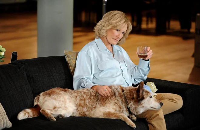 V bogati karieri se ji je zlati kipec vedno izmuznil, vendar Glenn Close še ni rekla zadnje besede. FOTO: Promocijsko gradivo