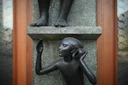 image_alt