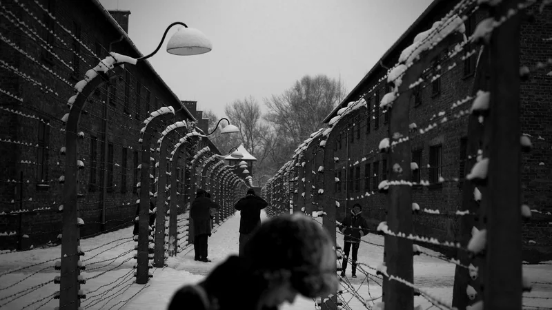 Fotografija: Ob obletnici osvoboditve taborišča Auschwitz. FOTO: Voranc Vogel/delo