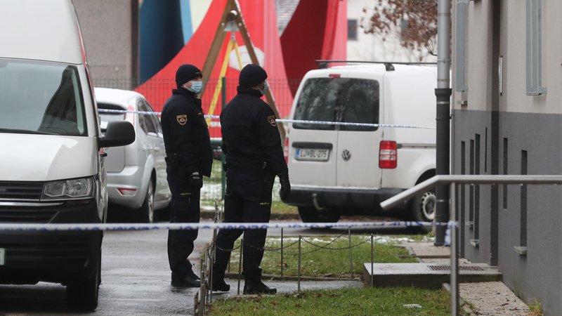 Fotografija: Policisti so po dejanju osumljenca kmalu izsledili ter mu odvzeli prostost. FOTO: Dejan Javornik/Slovenske novice 