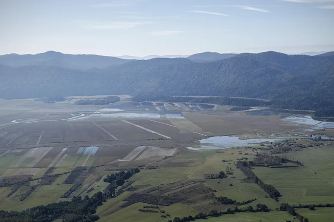 Ena redkih renaturanih strug pri nas vodi v Cerkniško jezero. FOTO: Uroš Hočevar/Delo