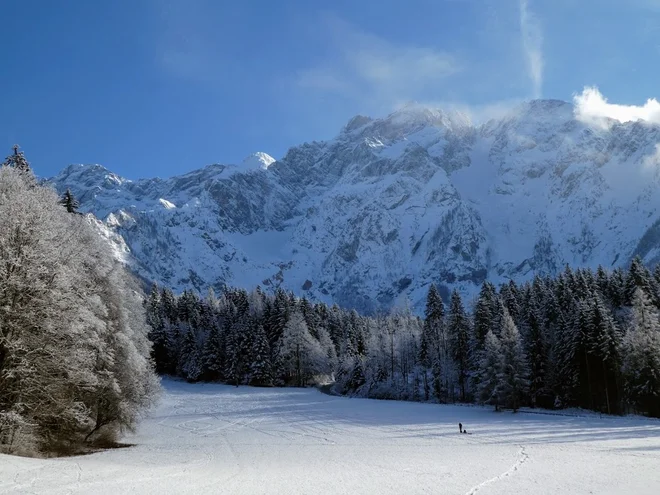 Sankača na Jezerskem. FOTO: Miroslav Cvjetičanin