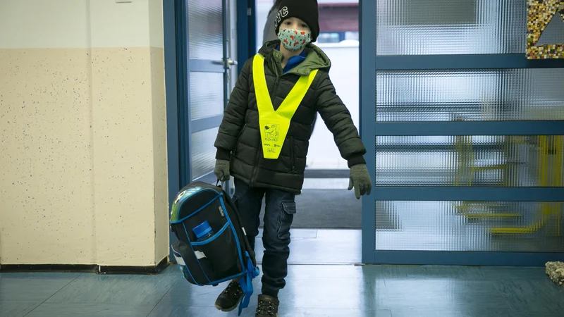 Fotografija: Obvezne izbirne predmete bi izvajali na daljavo, prav tako tudi neobvezne. FOTO: Jože Suhadolnik/Delo