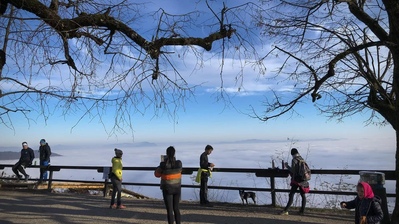 Fotografija: Velike spremembe v času covida-19 so pripeljale precej mladih v skrajno stisko.FOTO: Jure Eržen/Delo