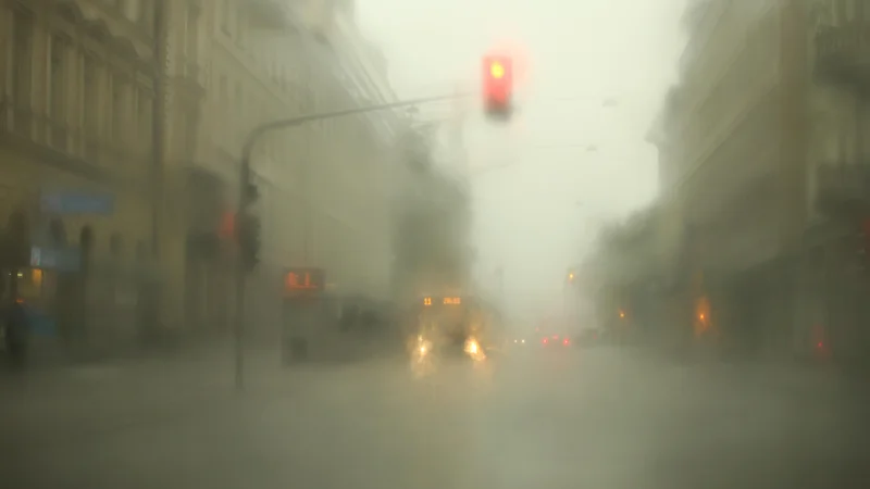 Fotografija: Zakaj je upiranje tako globoko zasidrano v človekovo naravo? Zaradi stremljenja po svobodi. FOTO: Jure Eržen/Delo