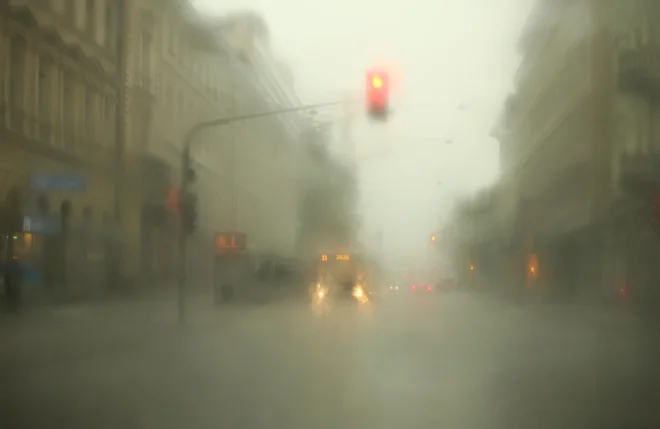 Zakaj je upiranje tako globoko zasidrano v človekovo naravo? Zaradi stremljenja po svobodi. FOTO: Jure Eržen/Delo