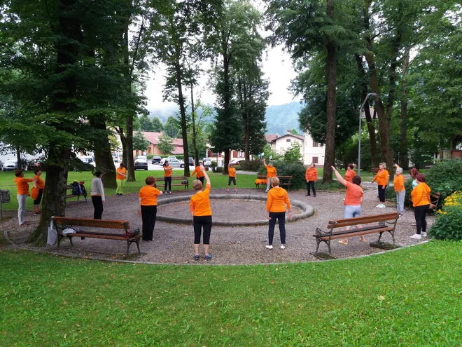 Tolmin. FOTO: Šola zdravja