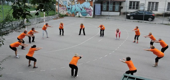 Metlika. FOTO: Šola zdravja