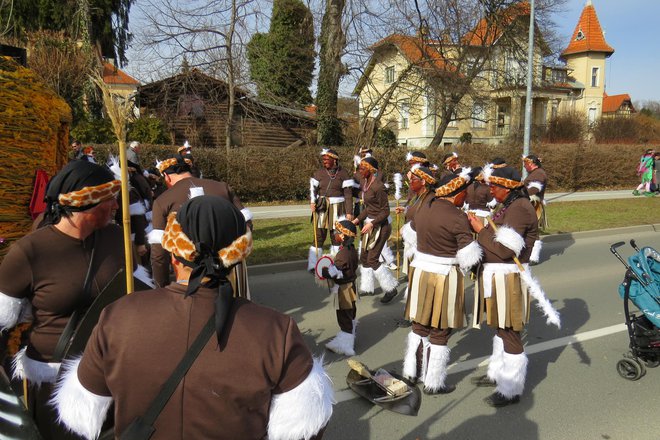 Karneval so na Ptuju letos prenesli na splet in v lokalne televizijske medije. FOTO: Franc Milošič/Delo