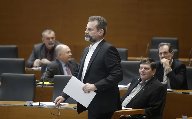 Robert Polnar. FOTO: Blaž Samec/Delo