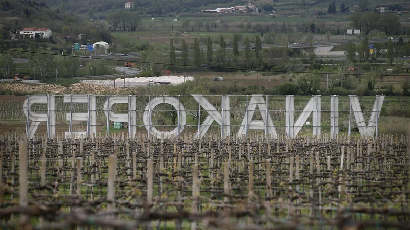 Fotografija: Solastništvo v Vinakopru je ključno premoženje Istrabenza.
Foto Blaž Samec