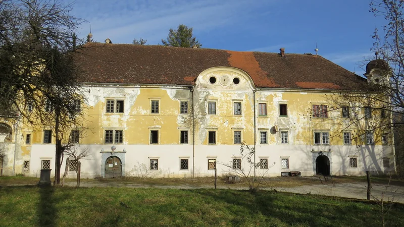 Streha na gradu je dotrajana in tudi omet odpada. FOTO: Bojan Rajšek/Delo