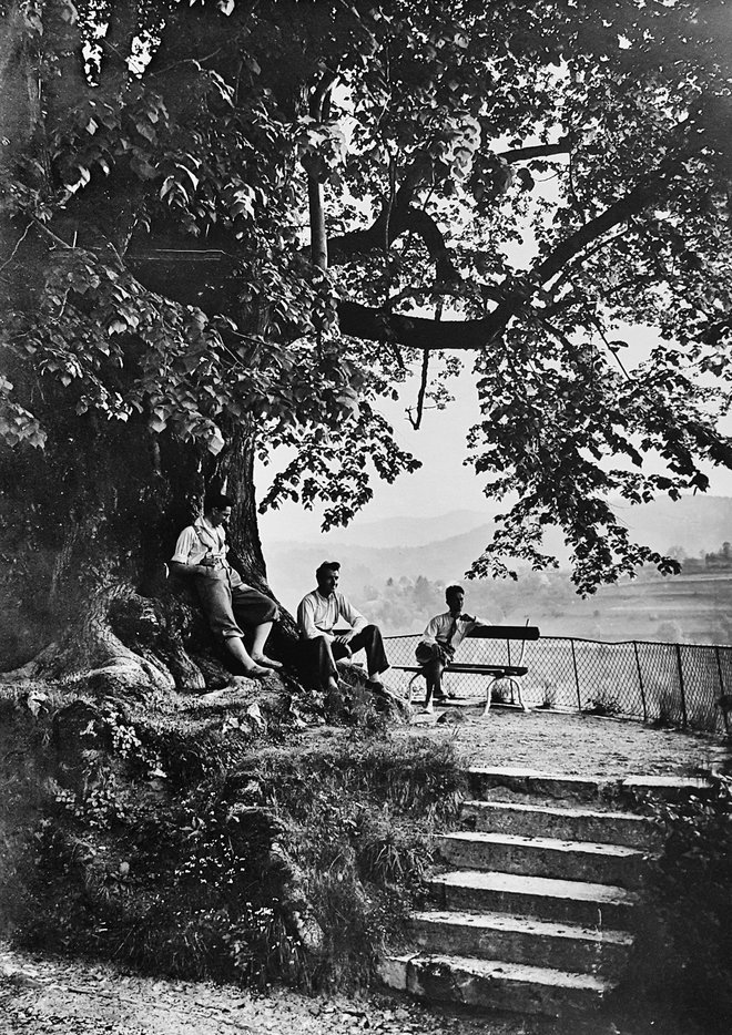V senci grajske lipe pred drugo svetovno vojno Foto Hrani družina Auersperg, Reideben