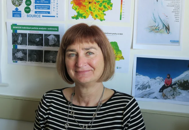 Dr. Mateja Gosar je znanstvena svetnica, zaposlena na Geološkem zavodu Slovenije, kjer vodi raziskovalni program Podzemne vode in geokemija in raziskuje kemično sestavo geoloških materialov ter zapletene interakcije med elementi in njihovimi spojinami zaradi geogenih vplivov ter preteklih in sedanjih antropogenih dejavnosti. Foto Osebni Arhiv