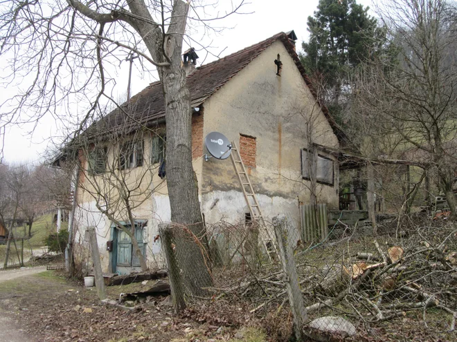 Za hišo v Žabjeku ni zanimanja. FOTO: Nada Černič Cvetanovski