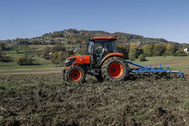 Letina večine poznih poljščin, predvsem koruze in krompirja, bo visoko nad desetletnim povprečjem. FOTO: Delo