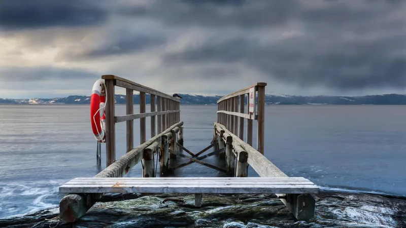 Fotografija: Obalne države v nevarnosti so v veliki nevarnosti. FOTO: Shutterstock