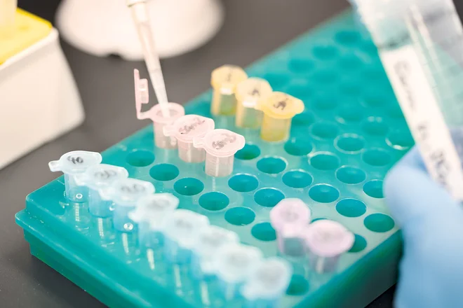 Množična testiranja. FOTO: Medicago Via, Reuters