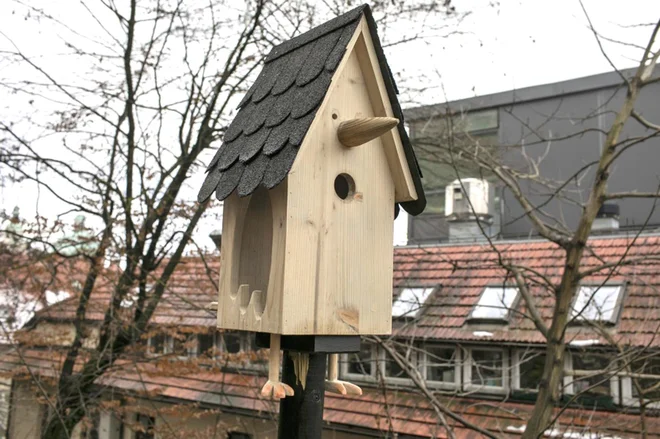 Postavili so ptičje krmilnice in gnezdilnice. Foto: Miha Fras