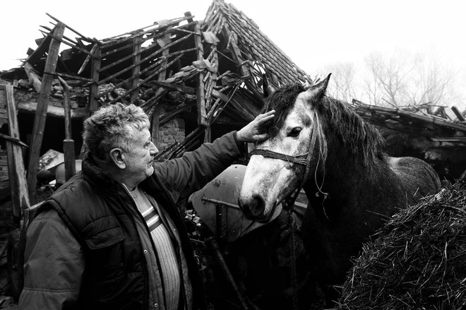 Ta fotografija je sprožila dobrodelno akcijo, na njej pa sta Tomo in njegov najljubši konj, ki gleda iz porušenega hleva. FOTO: Luka Šangulin / Index.hr