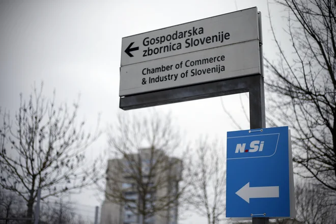 GZS. FOTO: Samec Blaž / Delo