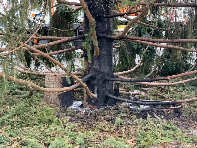 Požgali so smreko, ki je krasila novoletno Ljubljano. FOTO: P. Pa.