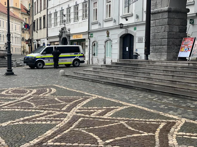 Vhod pred Mestno hišo varujejo policisti. FOTO: P. Pa.