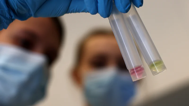 Fotografija: Laboratoriji delajo dan in noč, da preverjajo PCR-teste. FOTO: Lisi Niesner, Reuters