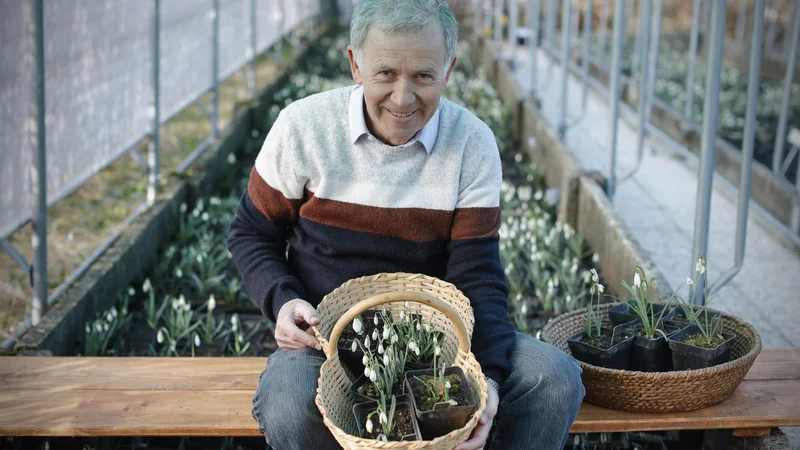 Fotografija: Mi, nekoč dokaj samooskrbni, zdaj postajamo posmeh tej besedi.
FOTO: Uroš Hočevar/Delo