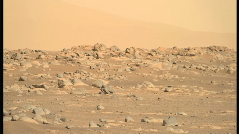 Fotografija: Kamera na instrumentu Mastcam-Z je posnela nove fotografije svoje okolice. FOTO: NASA/JPL-Caltech/ASU