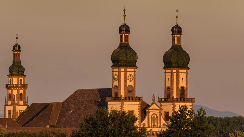 Fotografija: Število žrtev spolnih zlorab Katoliške cerkve v Franciji v zadnjih sedmih desetletjih ocenjujejo na 10.000. FOTO: Patrick Hertzog/AFP