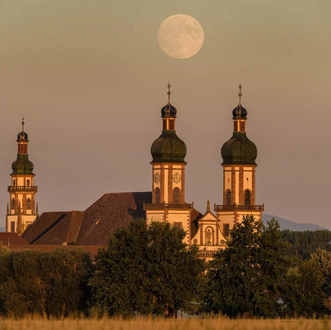 Število žrtev spolnih zlorab Katoliške cerkve v Franciji v zadnjih sedmih desetletjih ocenjujejo na 10.000. FOTO: Patrick Hertzog/AFP