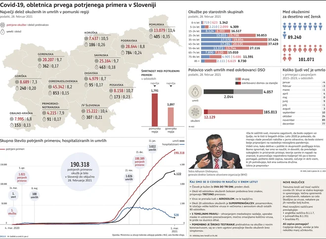 Prvo leto epidemije covida-19. Infografika: Delo