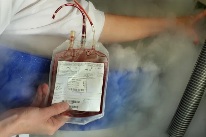 Na zavodu za transfuzijsko medicino zbirajo plazmo prebolevnikov covida-19 od julija lani. FOTO: Jure Eržen/Delo