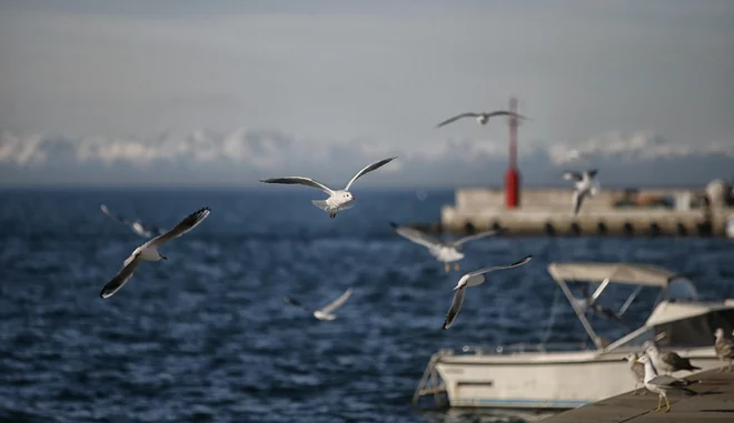 Pomorski prostorski plan naj bi uredil in medsebojno uskladil vse dejavnosti in načrte na morju: od pristanišč in navtike do marikulture, ribištva ter izkoriščanja energetskih virov. FOTO: Blaž Samec